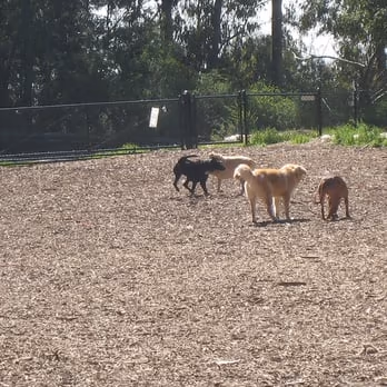 Joaquin Miller Dog Park photo 1